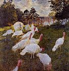 Turkeys
